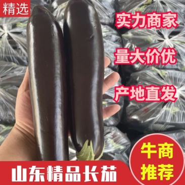 黑茄精品长茄大量供应产地批发货源充足代发全国