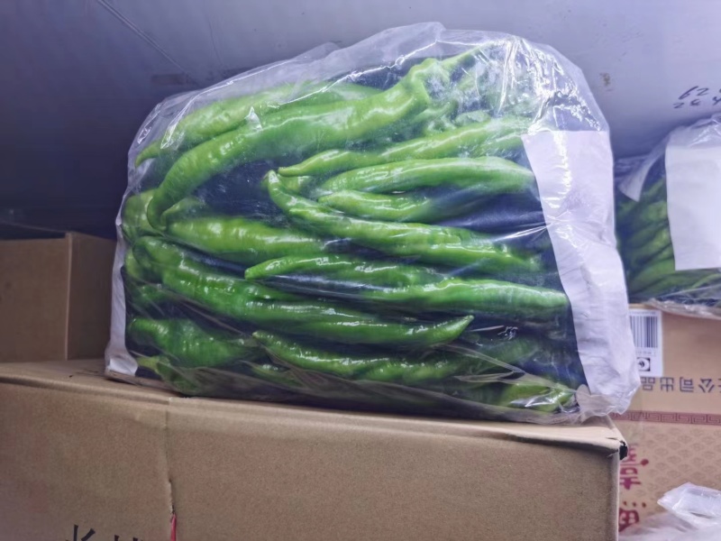 【好货】辽宁精品螺丝椒产地现摘现发品质保证量大从优