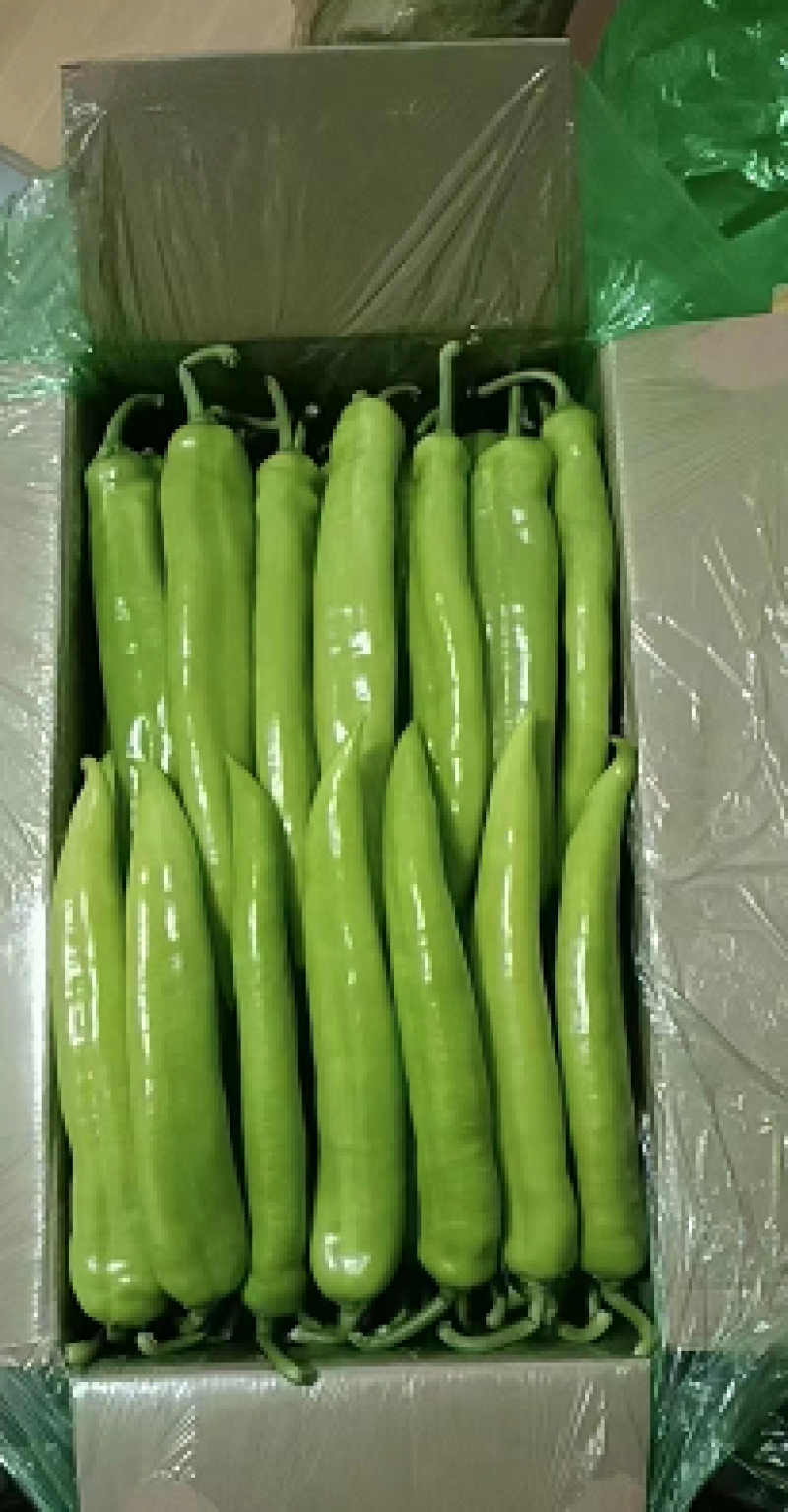 【优质】辣椒精品黄皮椒一手货源可视频看货供应全国