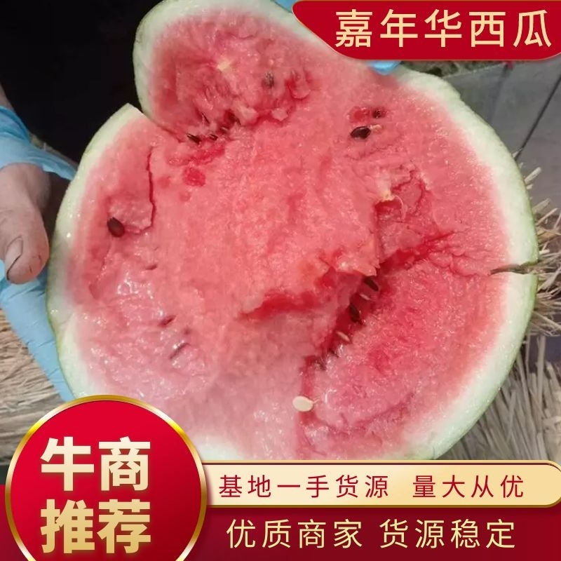 精品嘉年华西瓜大量上市产地直供全国发货