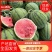 【诚信经营】江苏精品8424产地直销皮薄瓤红口感纯甜