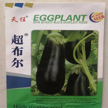 超布尔茄子种子杂交黑茄子种子黑又亮大田蔬菜基地高产抗病