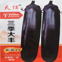 茄子种子紫黑色长茄种子三季大丰四季高产紫玉长茄种子