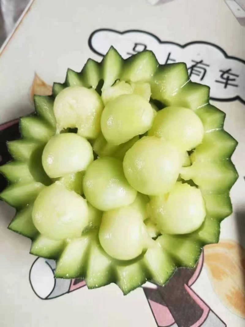 精品山东海阳网纹瓜，新鲜上市，现摘现发，质量保证，全国代发