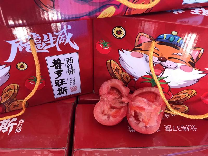 精品海阳普罗旺斯西红柿，新鲜上市，产地直销，代发全国