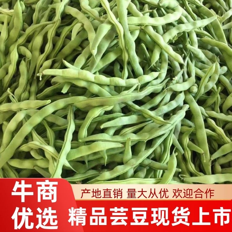 芸豆开坡肉豆大量有货，欢迎老板细聊产地发货