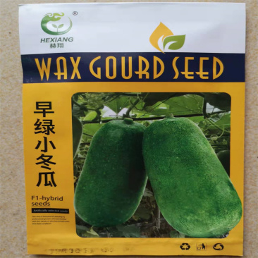 早绿小冬瓜种子