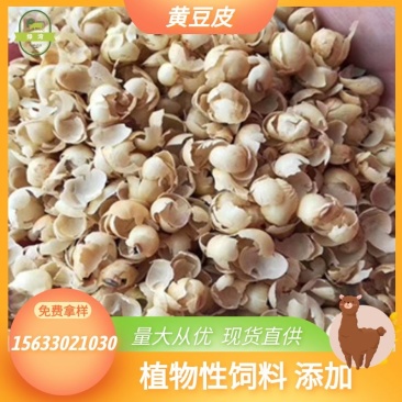 【特价优惠】精选黄豆皮,品质上乘,大量出售,货真价实!