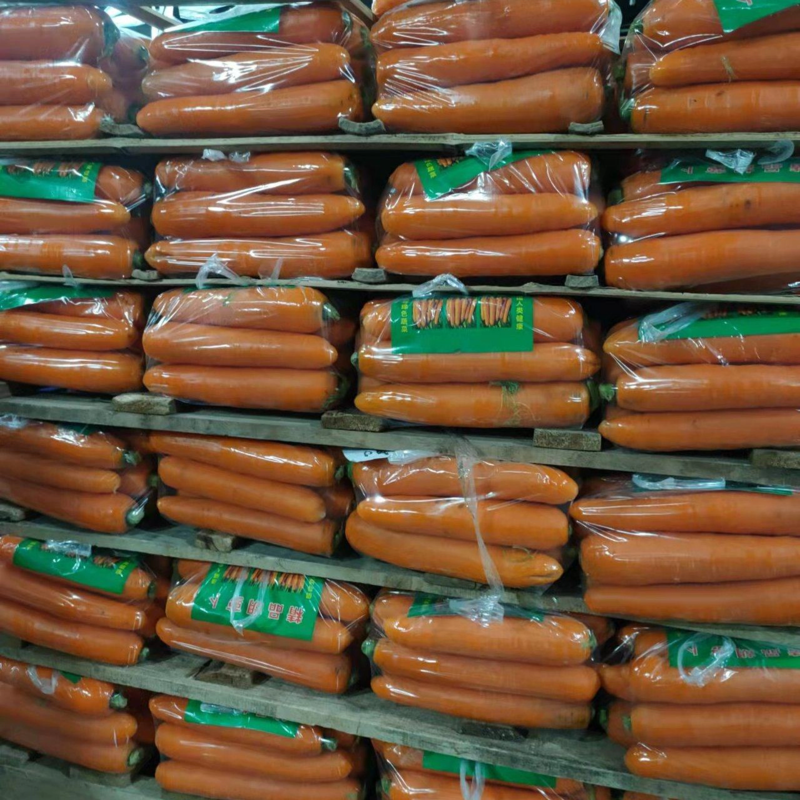胡萝卜产地发货三红胡萝卜，质优价廉，大量有货欢迎采购