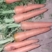 胡萝卜产地发货三红胡萝卜，质优价廉，大量有货欢迎采购