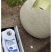 海阳网纹瓜大量上市，产地直发欢迎全国各地客商咨