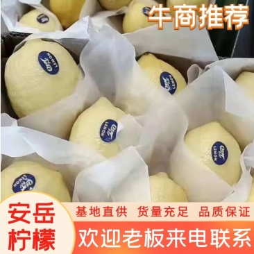 【热卖】安岳柠檬！产地直销！批发白菜价！对接商超，批发零售