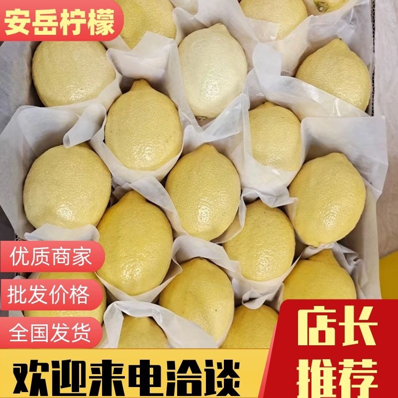 【热卖】安岳柠檬！产地直销！批发白菜价！对接商超，批发零售