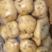 【热卖】土豆精品土豆产地直发大量现货价格优惠