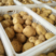 【热卖】土豆精品土豆产地直发大量现货价格优惠