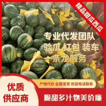 【新人立减】陕西甜王西瓜，质量保证，对接电商平台！