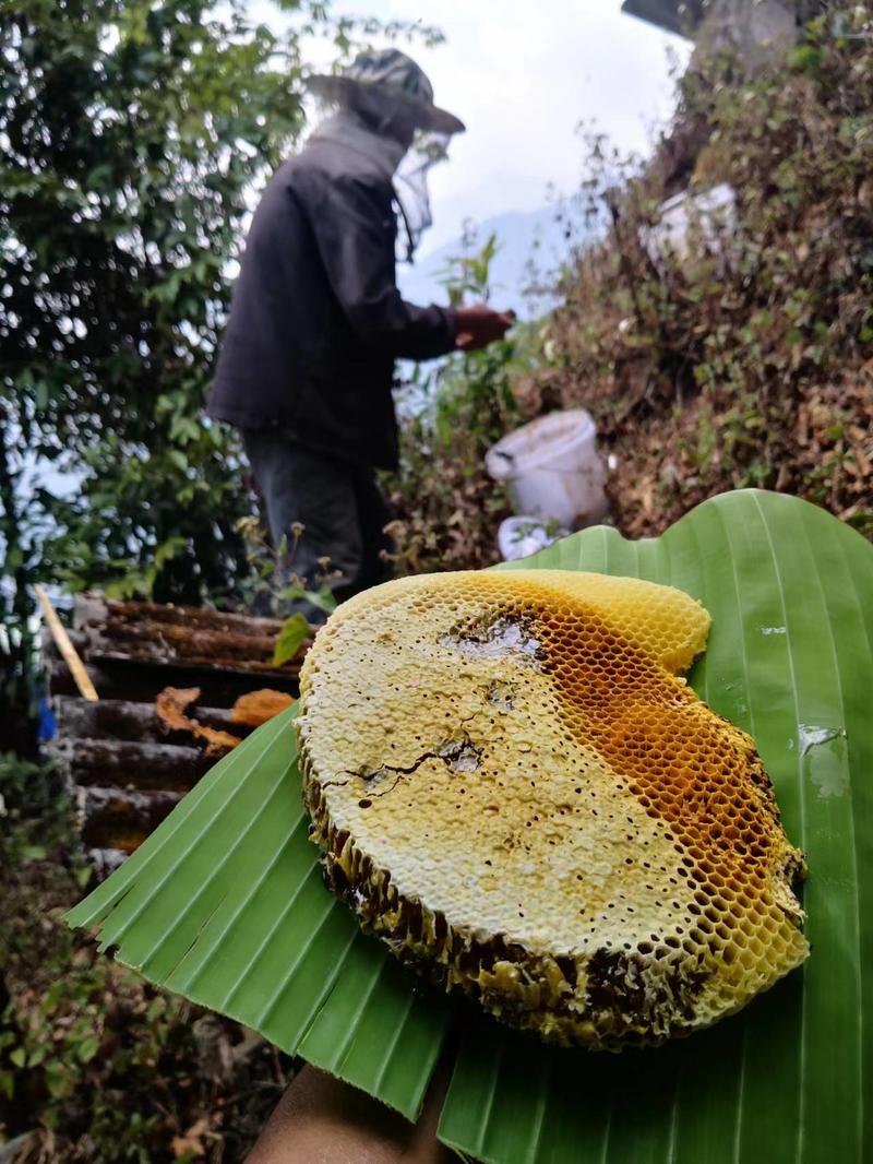 云南高山黑蜜大量供应野蜂蜜产地直销质量上乘量大价优