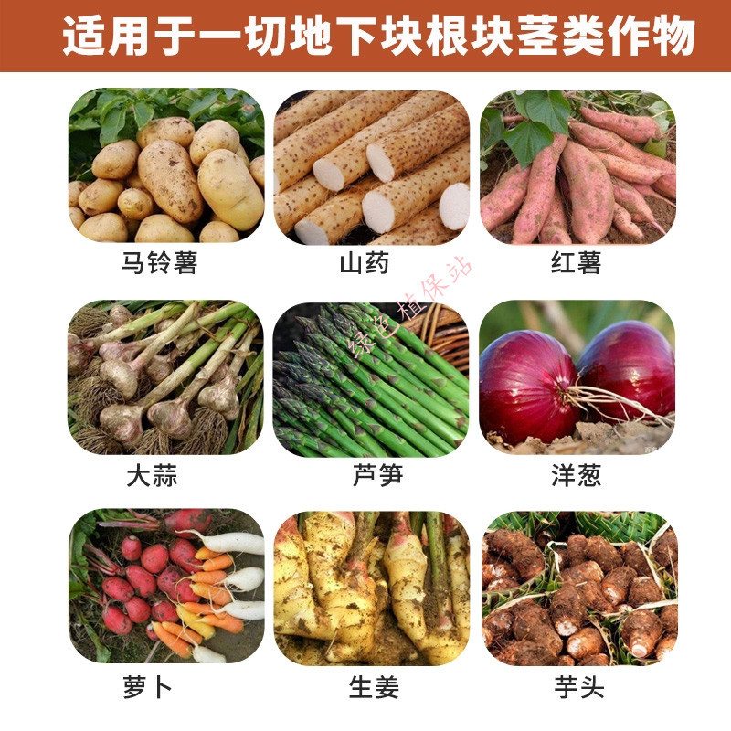 氯胆萘乙酸根茎膨大剂马铃薯葱姜蒜花生洋葱土豆红薯地下块茎