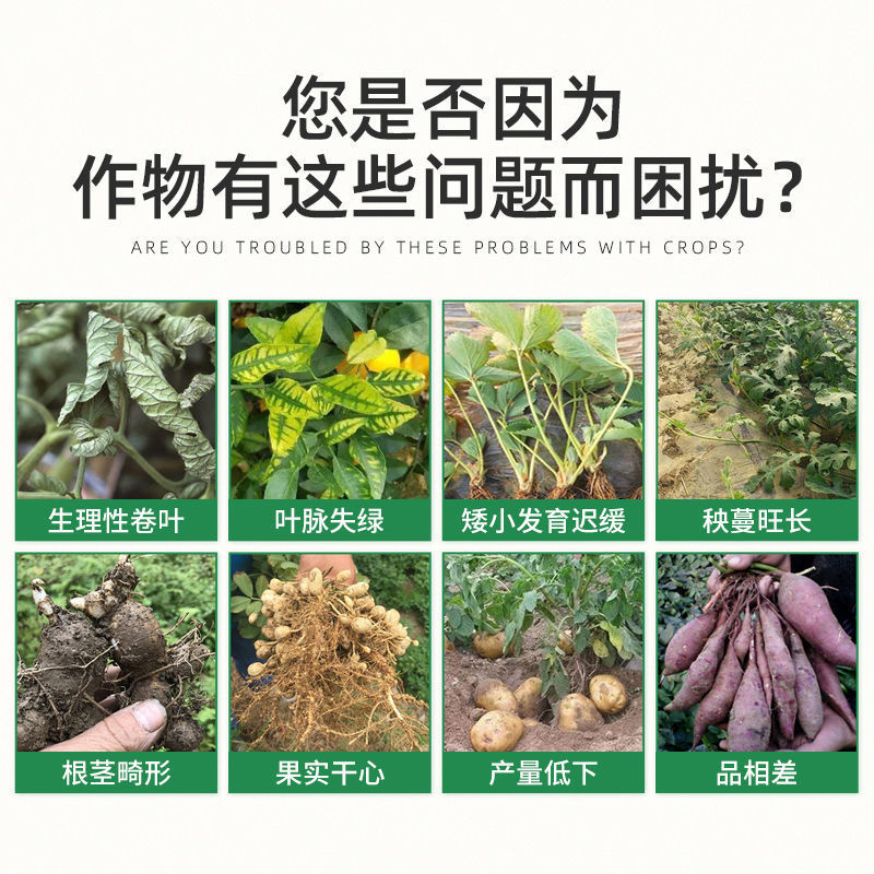 氯胆萘乙酸根茎膨大剂马铃薯葱姜蒜花生洋葱土豆红薯地下块茎