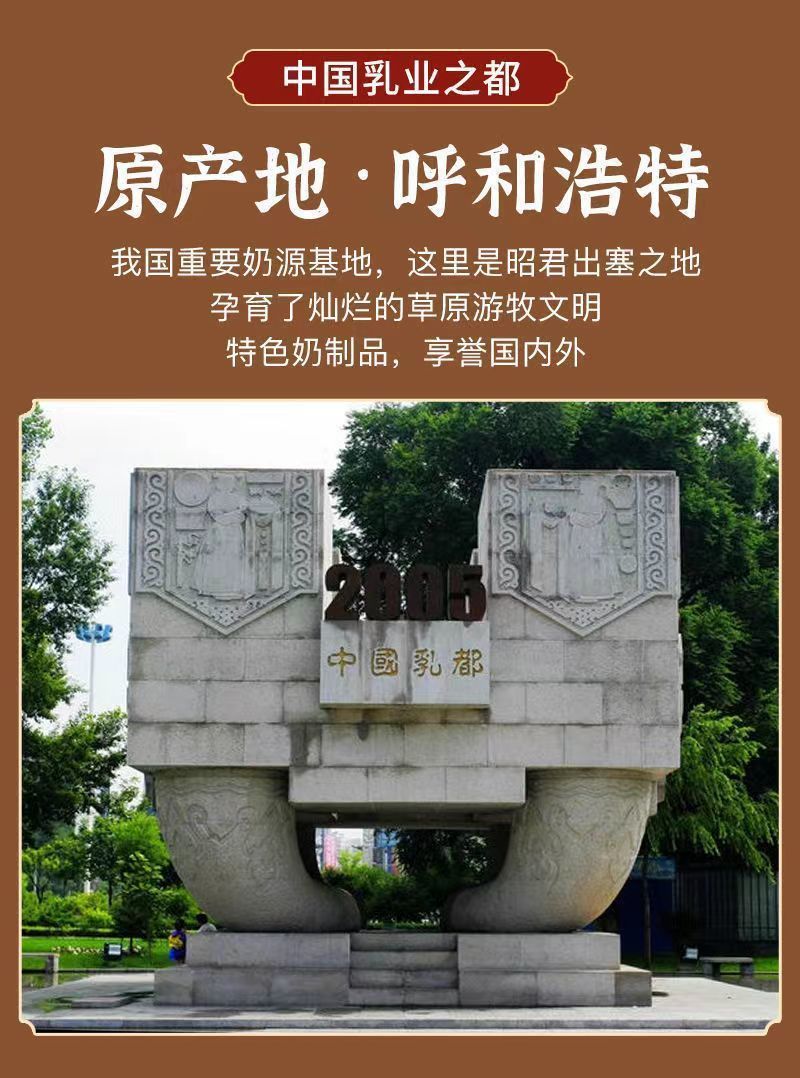 奶条奶酪块高钙儿童零食营养小孩手工营养内蒙古特产酸奶疙瘩