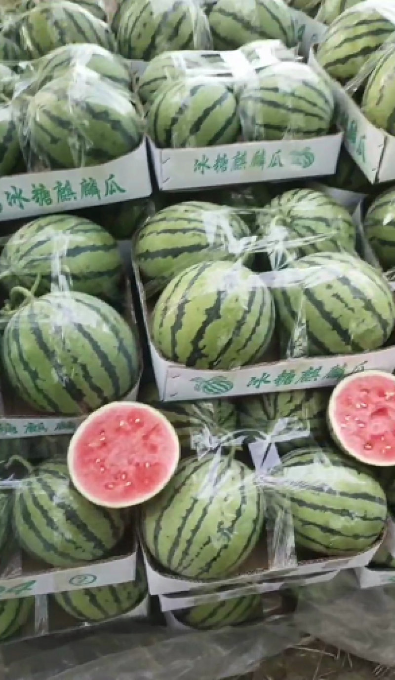 美都西瓜江苏产地发货皮薄瓜甜可视频看货欢迎来产地拉货