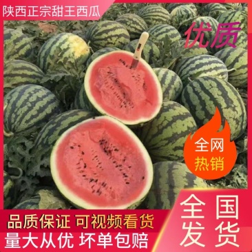 【西瓜】精品甜王西瓜一手货源代发全国市场电商商超