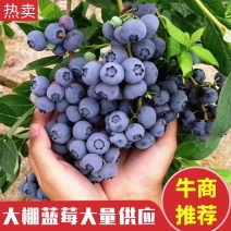 大棚蓝莓上市绿宝石薄雾大量供应包装全，大中小果以质论价