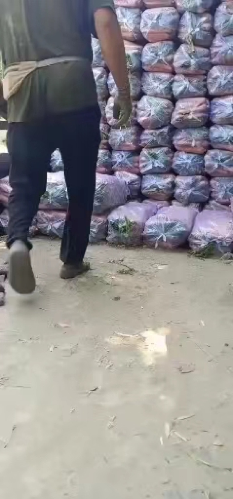 【牛商优选】红萝卜，大量上市中，诚信商家，质量保证