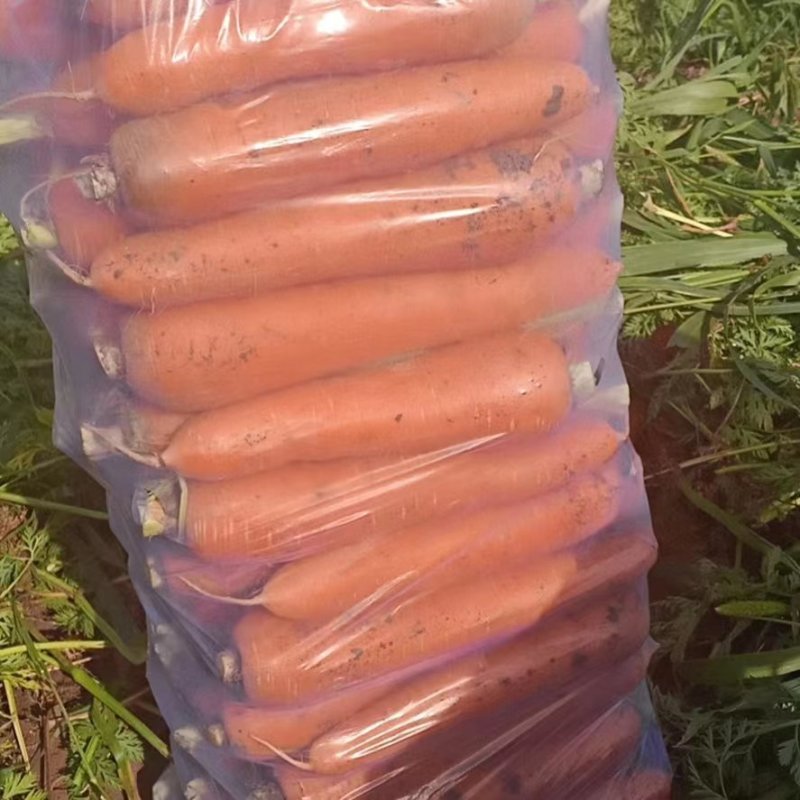 【牛商优选】红萝卜，大量上市中，诚信商家，质量保证