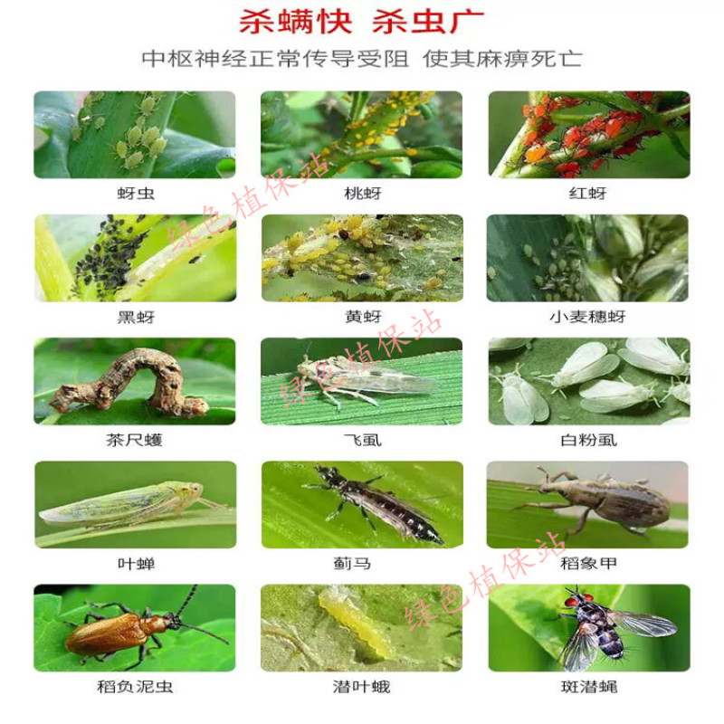 溴氰吡虫啉杀虫剂蚜虫白粉虱稻飞虱蓟马潜叶蛾食心虫梨木虱等