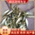 牛【推荐】精品重庆翘嘴苗及成品鱼一手货源包成活