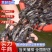 实力黄颡鱼苗淡水鱼苗厂家批发黄骨鱼苗杂交黄骨鱼苗成活率高