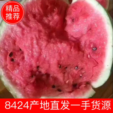 【优质】精品8424西瓜产地直供货源充足欢迎进店联系