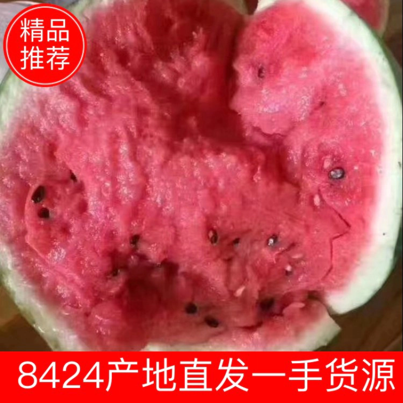 【优质】精品8424西瓜产地直供货源充足欢迎进店联系