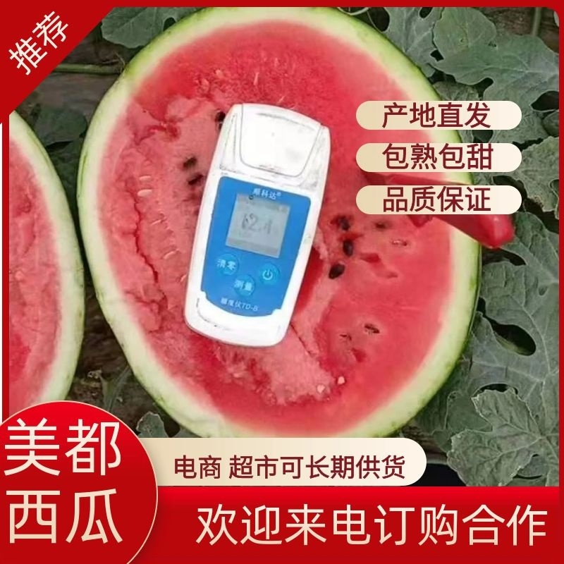 安徽砀山美都西瓜，大量上市皮薄汁多口感脆甜，熟度高，