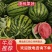 【好货推荐】砀山万亩甜王西瓜，货源充足稳定，承接商超采购