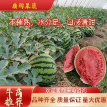 万亩正宗8424种植基地，田间地头现摘现发，包熟瓤甜