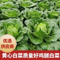 【实力商家】黄心白菜，质量好，品行好，鸡腿白菜，量大从优