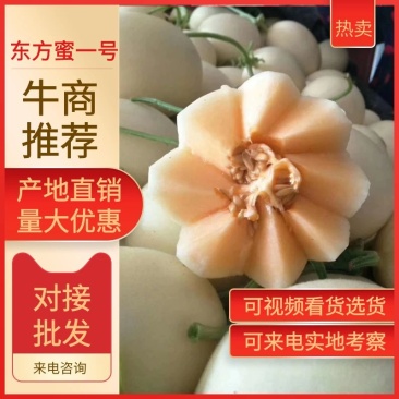 东方蜜一号，红金蜜甜瓜，承接商超对接批发来电咨询