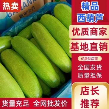 【热卖】法拉利西葫芦绿皮西葫芦日出货十万斤一手货源保质保量