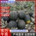 【慕田佳宝】陕西西瓜大荔西瓜，高品质甜王，产地直发