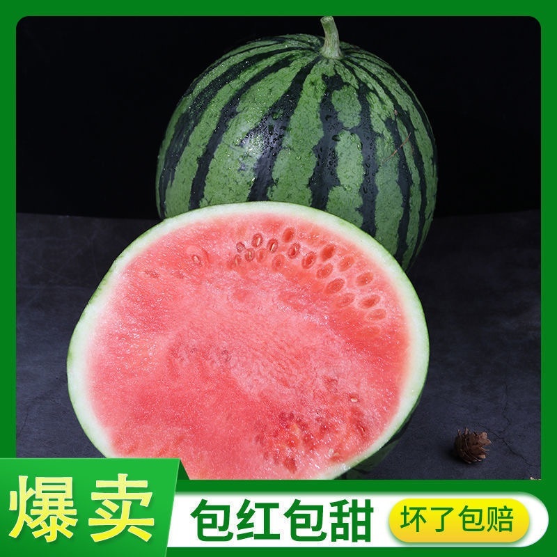 甜王西瓜基地发货一手货源品质保证诚信经营欢迎采