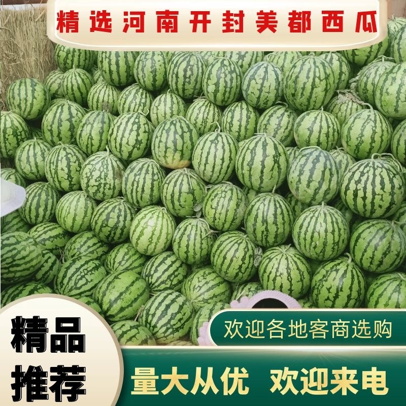 河南美都西瓜产地直发皮薄多汁市场商超对接欢迎电话联系