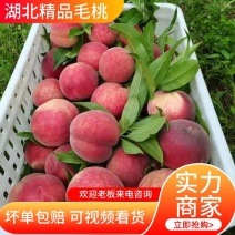 【好货】精品毛桃产地现摘现发品质保证量大从优全国发货