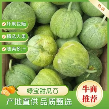 【精选】山东滨州绿宝甜瓜产地直销，货源稳定，品质保证