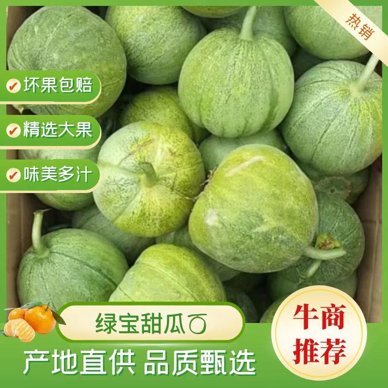 【精选】山东滨州绿宝甜瓜产地直销，货源稳定，品质保证