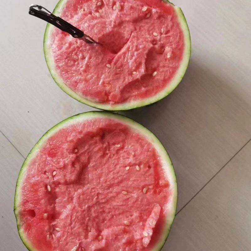 河南夏邑西瓜美都西瓜大量上市，皮薄脆甜，诚信报价