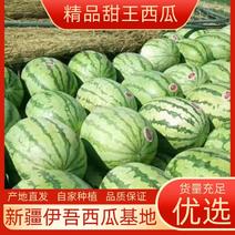 新疆甜王西瓜，金城，安农，种类齐全新鲜采摘。价格降到冰点