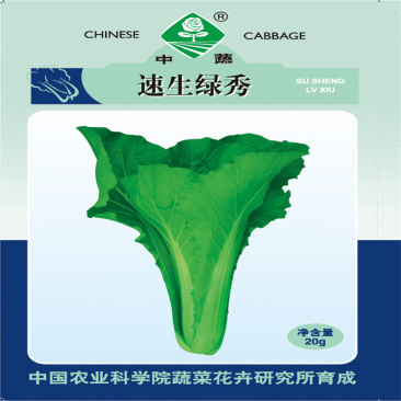 中蔬速生小白菜种子农科院四季蔬菜青菜种子高产速生绿秀种子