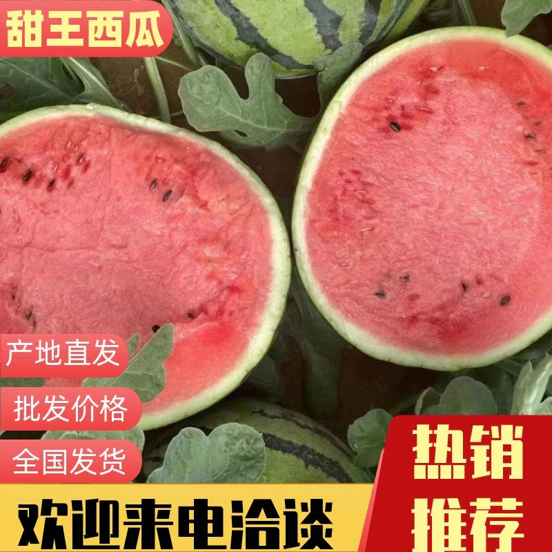 【热卖】甜王西瓜大量供应皮薄甜度高产地一手货源